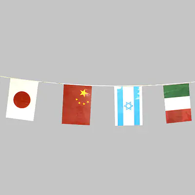 ポリ万国旗 メイン画像