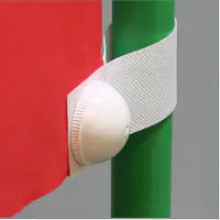 ピントエ−ス - Master