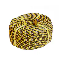 光るトラロープ - Master