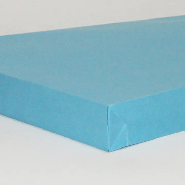 ベスト保存袋（封筒）色: ブルー - Master