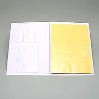 不動産ファイル／Bタイプ：白 - Master