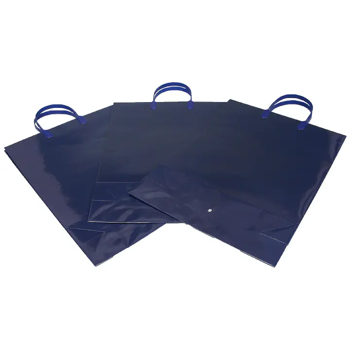 手提げ袋：ダークブルー - Master