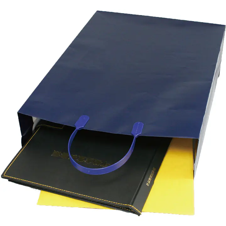 手提げ袋：ダークブルー - Master