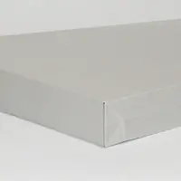 ベスト保存袋（封筒）色: グレー 社名入れ印刷 - Master