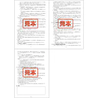 ダウンロード・ＰＤＦ形式・重要事項説明書補足資料　A4サイズ - Master