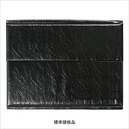 不動産ファイル／Fタイプ：シャイニングブラック - Master